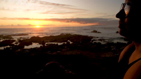foto de perfil de una perra acariciadora - reflejo de la puesta de sol del océano en gafas de sol