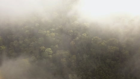 Morning-fog-over-mountain-foothills