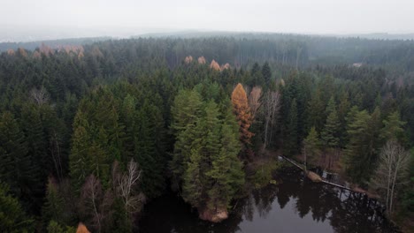 lake with a bridge in the middle of the woods on a foggy autumn morning