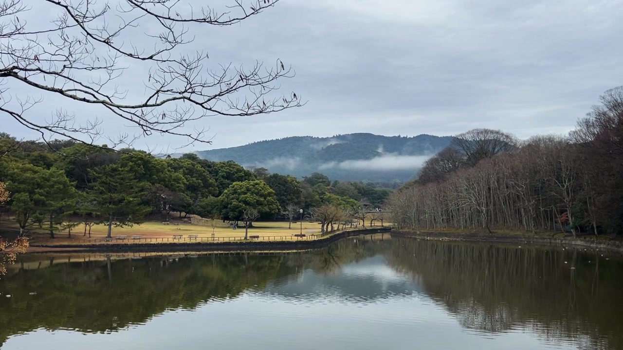 日本 奈良公園 池 山 風景