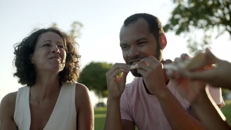 amigos comiendo pizza en el parque