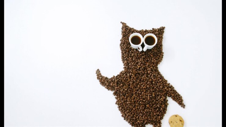 Aus Kaffeebohnen und Tassen geformte Eule