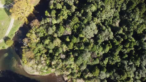 Campingplatz-Im-Einheimischen-Neuseeländischen-Wald-4K-Drohnenaufnahme