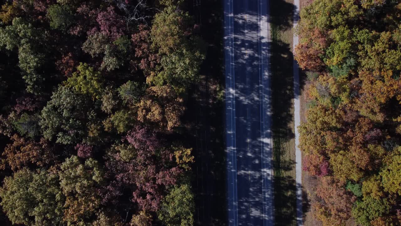 Drone Aerial Showing Long Straight Highway Through Red and Orange Trees Ontario