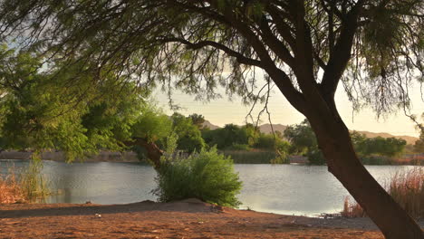 Naturaleza-Serena-En-El-Parque-Christopher-Columbus-Con-El-Lago-Silverbell-Durante-La-Puesta-De-Sol-En-Tucson,-Arizona-Usa