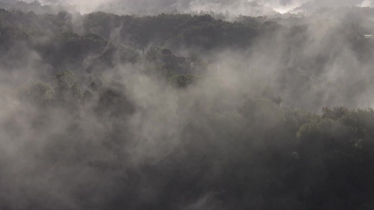 Telefotoskud af hurtigt bevægende baggrundsbelyst tåge i frodig toscansk skov.