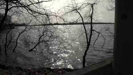 timelapse of lake on the edge of a forest-2