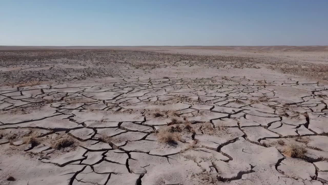Dried cracked earth landscape