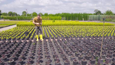 cultivo de flores y plántulas.