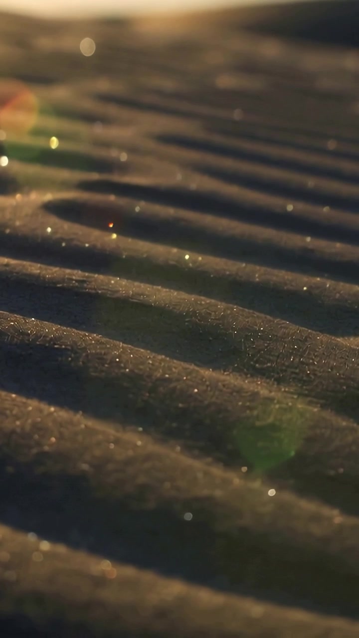 Vertical video: Moving camera revealing rippled dune, low sun striking grains and drifting flares