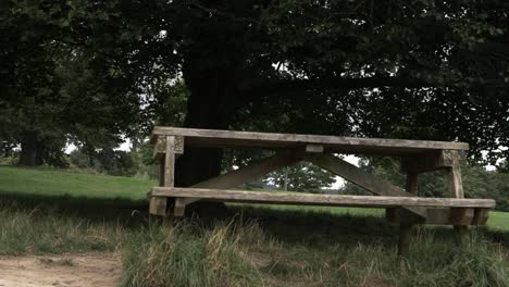 rustic wooden picnic bench in countryside park medium panning shot