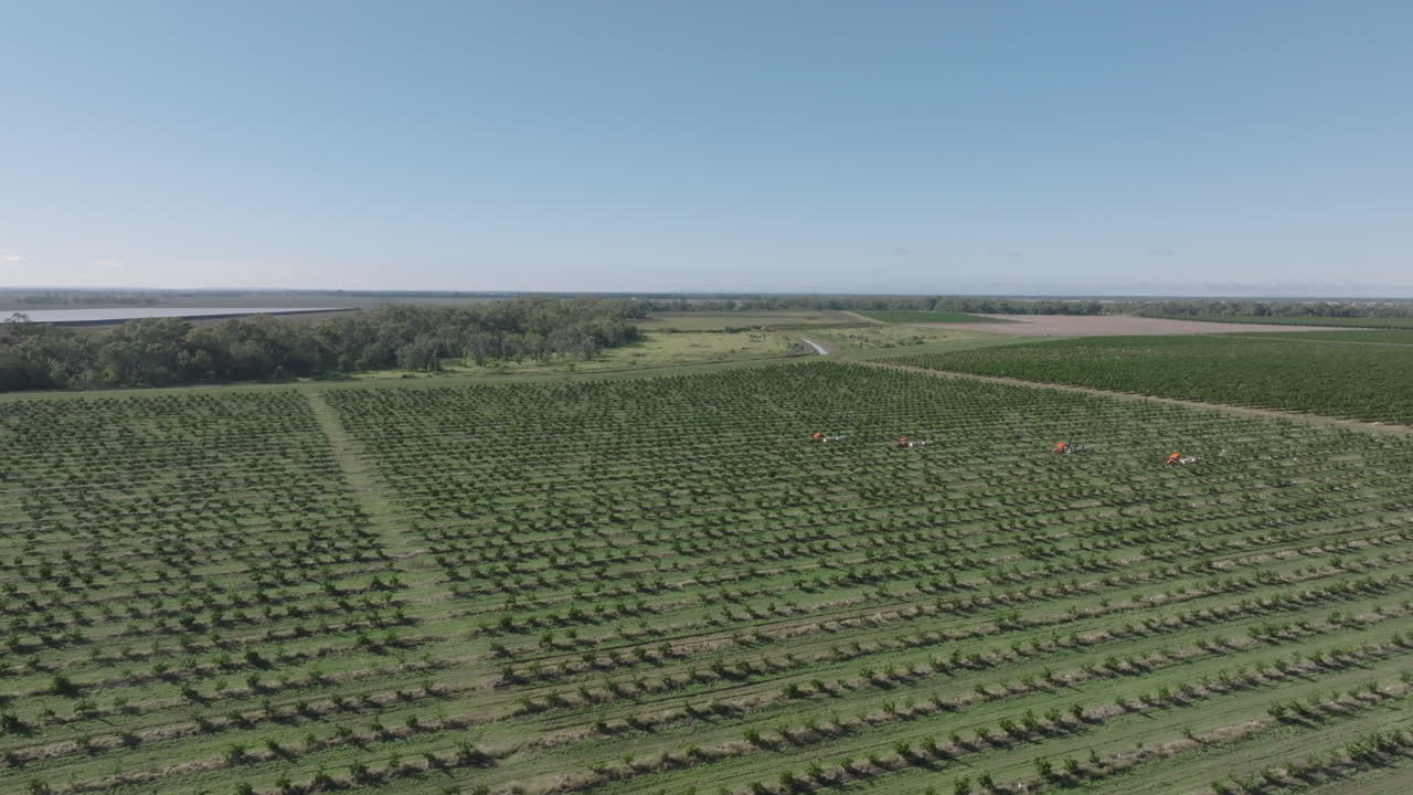 Drone shot of orange tree plantations near Moree, New South Wales, Australia