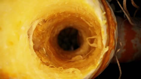 starting just outside of the opening of a cored gourd, moving into the core a short section where a couple seeds are partially visible