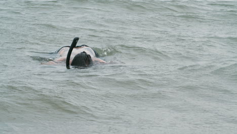 hombre buceando en la playa