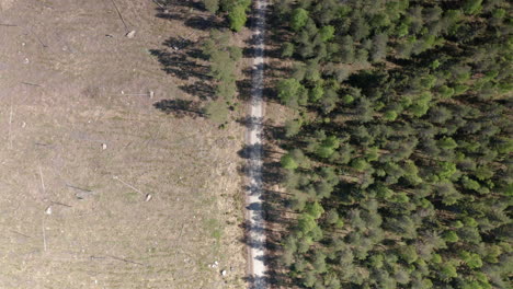 juxtaposición de zonas silvestres boscosas junto a zonas taladas deforestadas