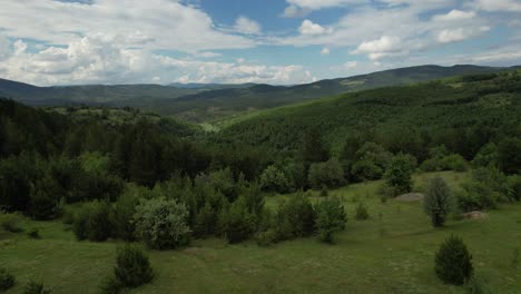 Greenland-Rural,-green-woodland-land-drone-view,-coniferous-pine-forest,-climate-crisis-and-carbon-footprint,-forestry-landscapes