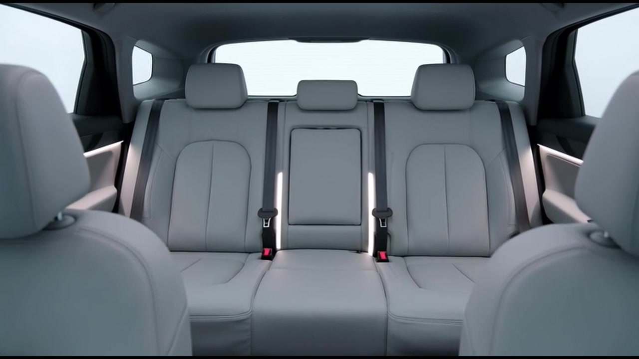 Interni di auto di lusso moderna: sedili posteriori