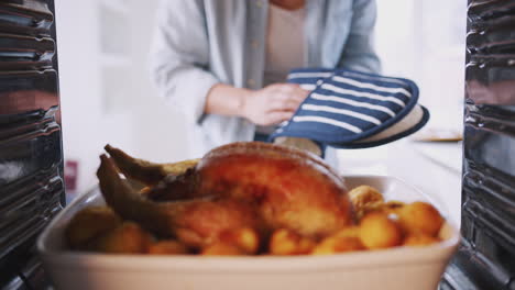 view looking out from inside oven as woman cooks sunday roast chicken dinner