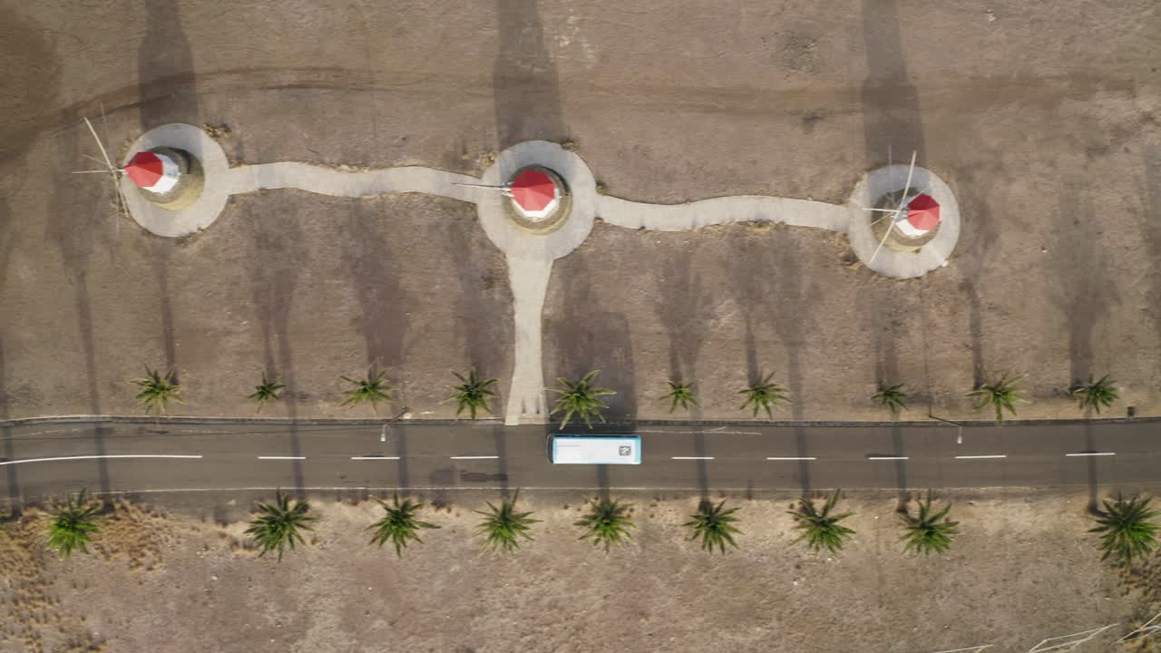 버스는 유명한 포르토 산토 풍차 옆에 야자수가 있는 도로를 여행합니다.