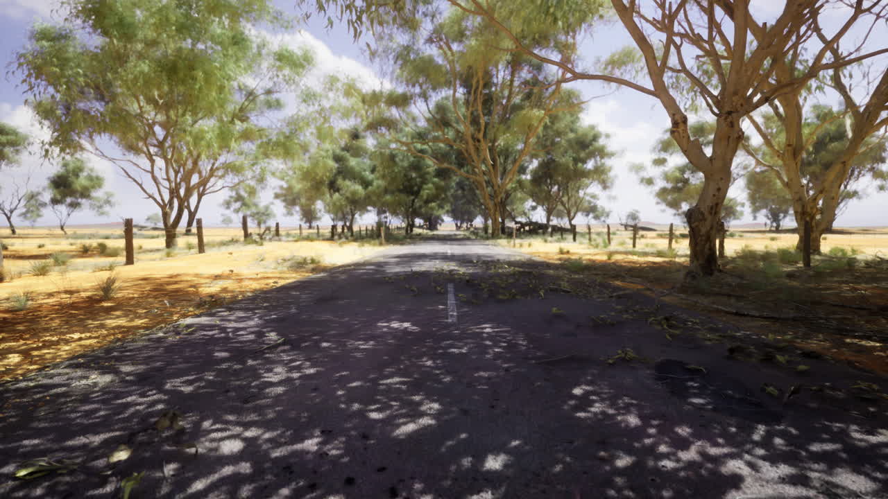 Open road winding through lush trees under a clear blue sky