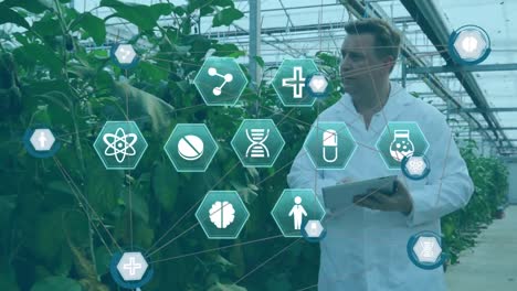 iconos médicos contra el científico masculino que trabaja en un laboratorio de invernadero