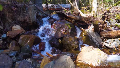 water cascading over moss covered rocks in the forest on a warm spring day, slow motion