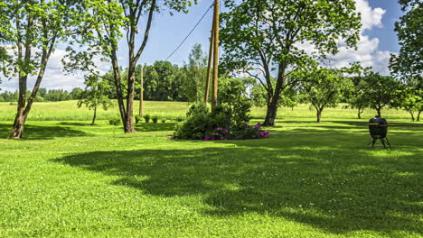 Timelapse of cutting the grass using a grass trimmer lawn mowing care
