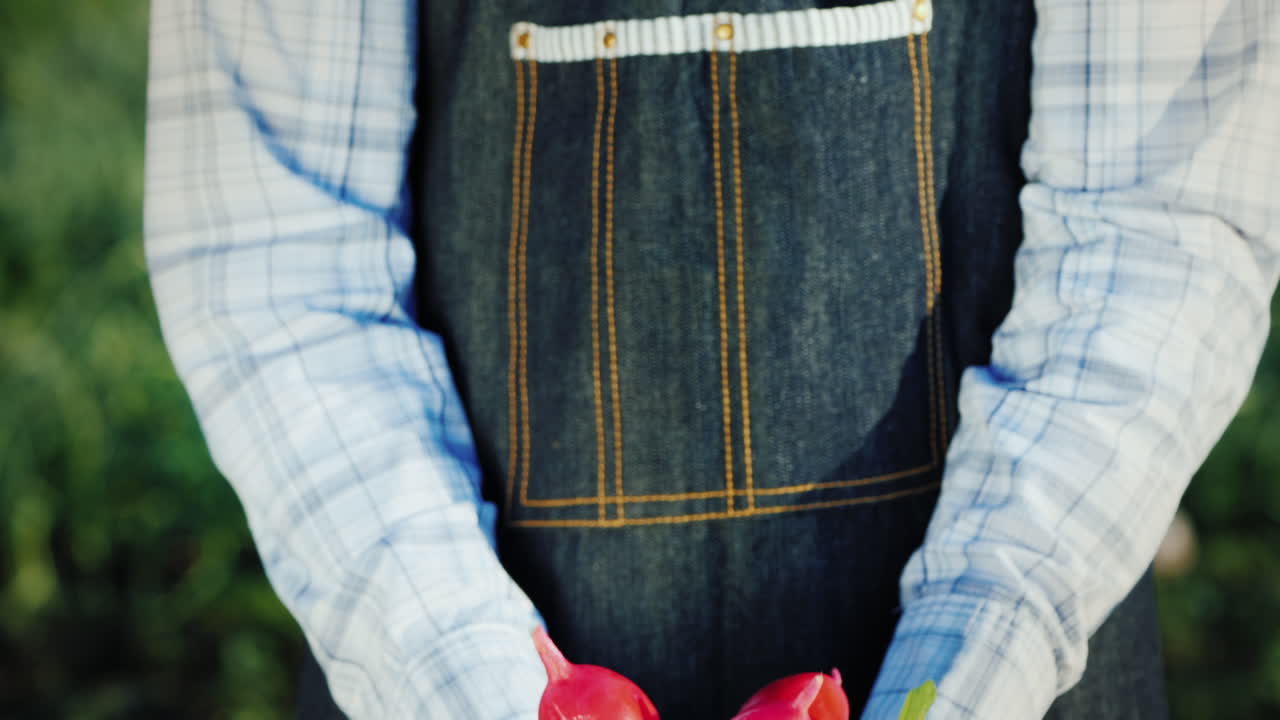 농부가 잘 익은 무를 잔뜩 들고 있다