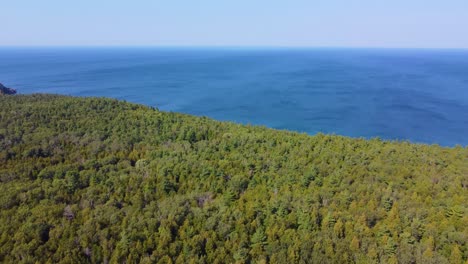 Enthüllen-Sie-Bewegung-In-Einem-Waldreichen-Gebiet-In-Der-Georgian-Bay,-Ontario,-Kanada