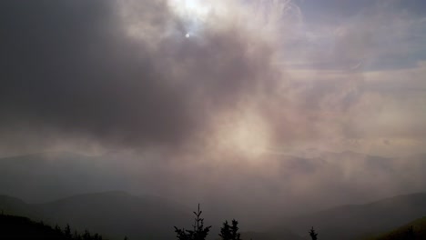 블루 릿지 산맥과 애팔래치아 산맥의 침엽수와 나무 위로 공중 밀기