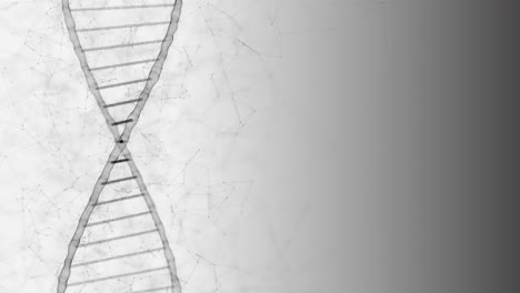 prueba del genoma de la hélice de adn en laboratorios científicos y programación de código humano