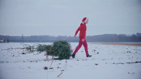 cheerful man pulling christmas tree on snow covered landscape