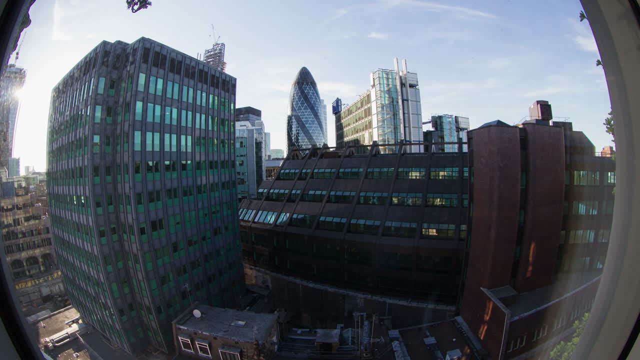 ventana ojo de pez pepinillo 00