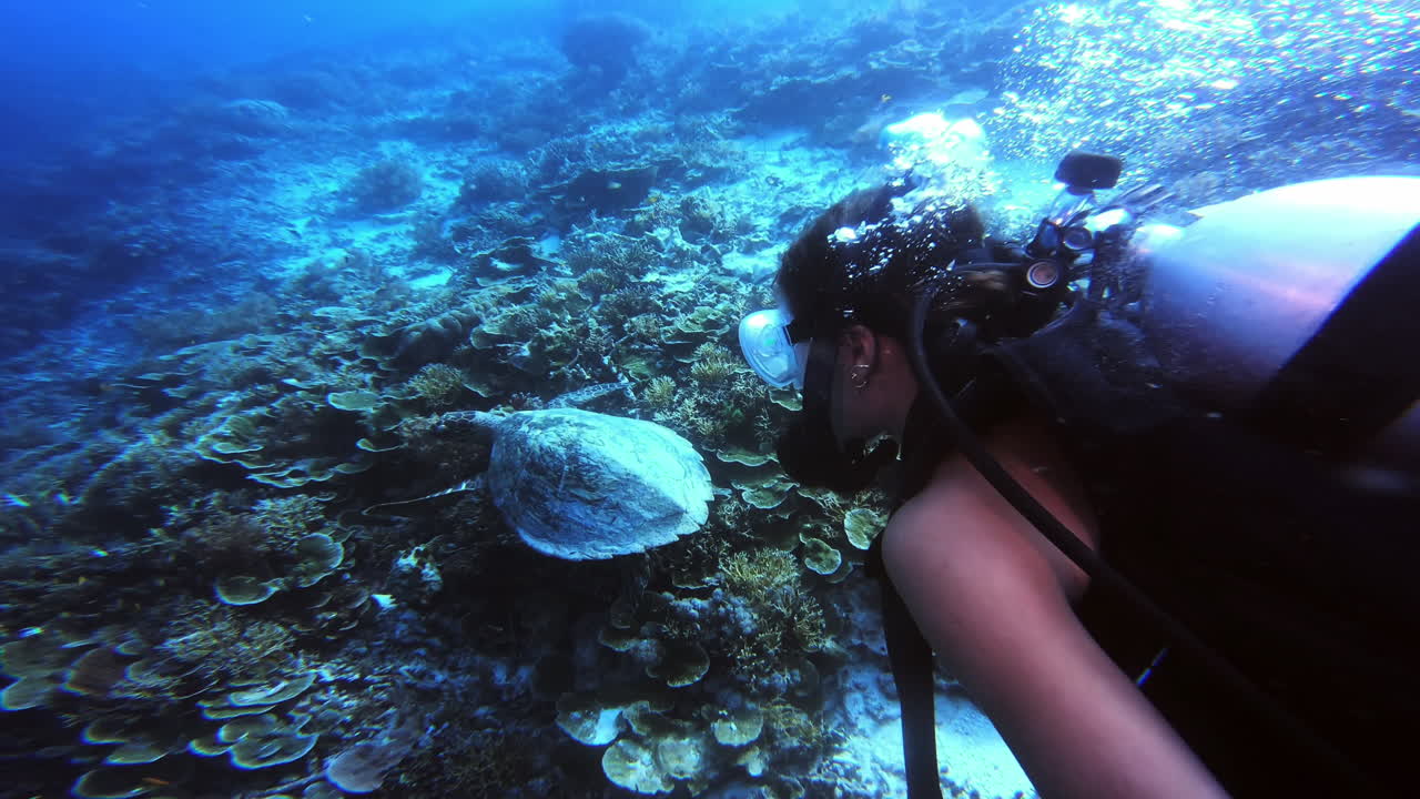 tenemos un nuevo amigo.