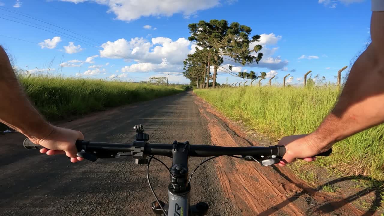ciclista en camino rural con pino brasileño, paisaje típico del sur de brasil, video fpv