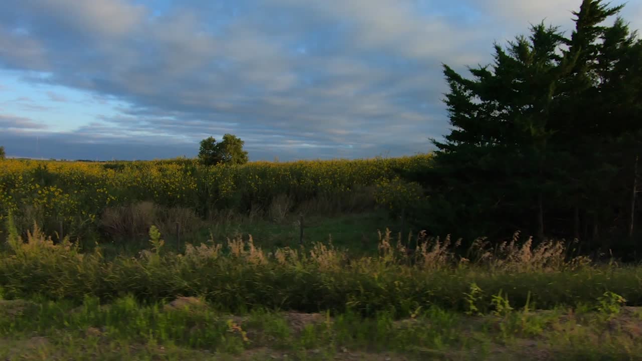 Førerperspektiv gjennom førerens vindu mens man kjører gjennom landsbygda i Nebraska under den gyldne timen