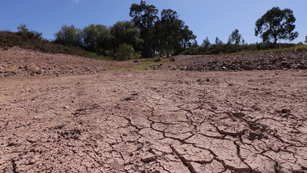 Una lenta ripresa con slider rivela terra profondamente crepata e cotta dal sole sullo sfondo di lussureggianti alberi estivi sotto un cielo azzurro limpido, evidenziando la grave siccità europea e l'impatto climatico. Luce naturale, grandangolo.