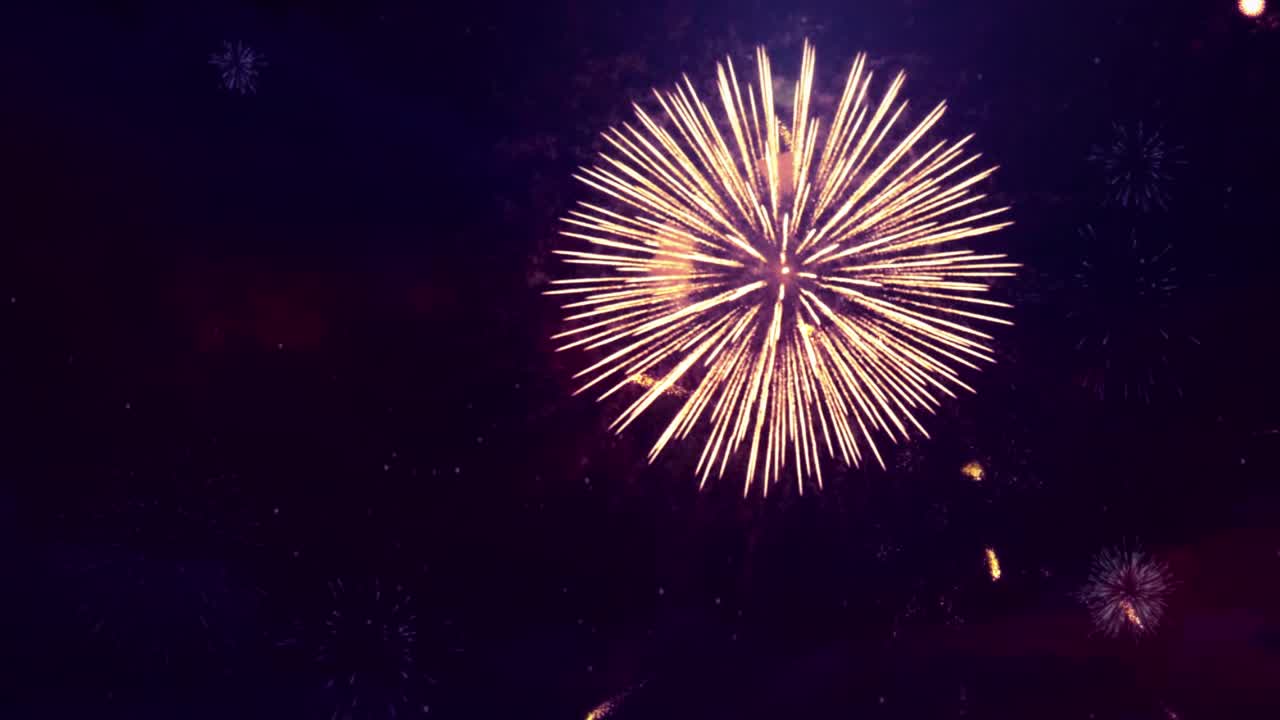 Beautiful multi colored fireworks in the night sky Loop Animation Background.