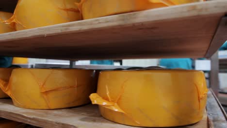 packaged cheese wheels on shelves in factory warehouse. cheese production