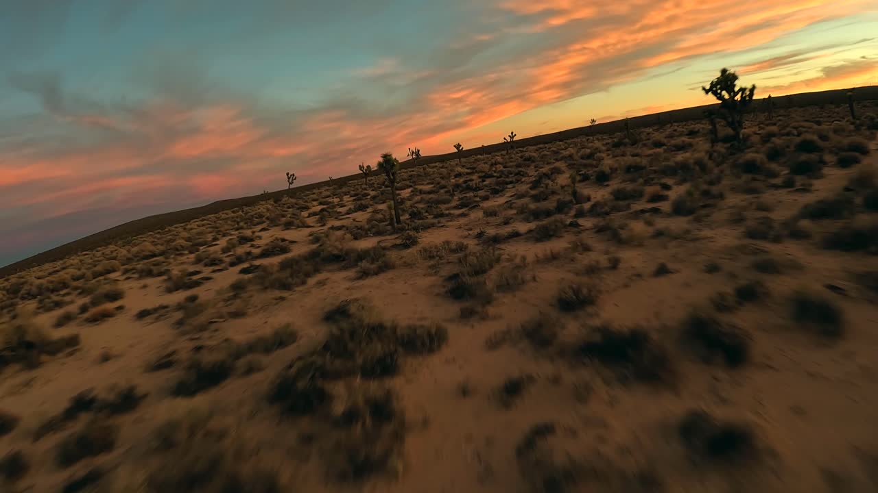 volando a través del desierto de mojave y entre árboles de joshua durante una puesta de sol brillantemente colorida en un dron de vista en primera persona