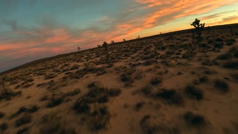 volando a través del desierto de mojave y entre árboles de joshua durante una puesta de sol brillantemente colorida en un dron de vista en primera persona