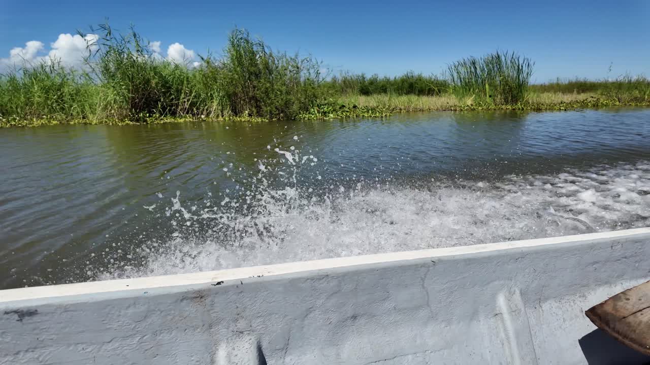 Families enjoying nature and walking paths at this popular park in Tampico