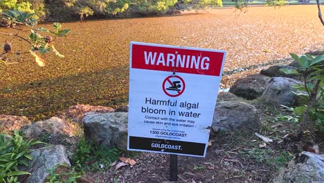 harmful algal bloom warning near water