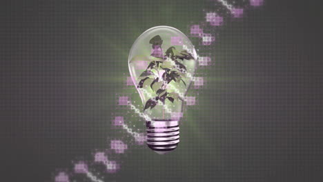 Animation of dna strand over lightbulb with plant