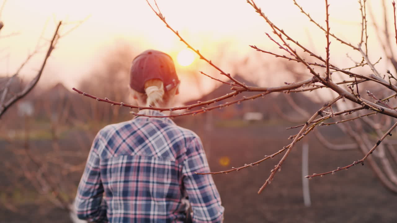정원사는 석양에 자신의 정원을 통해 산책