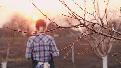 Gärtner-Spaziert-Bei-Sonnenuntergang-Durch-Seinen-Garten