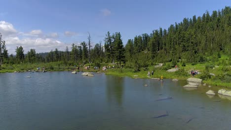 beautiful view of a lake in the forest