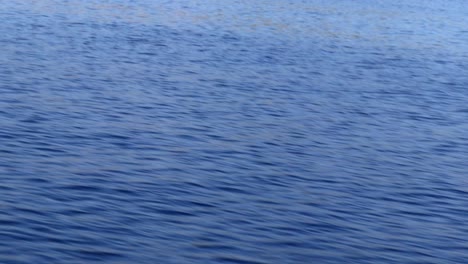 close-up of an ocean