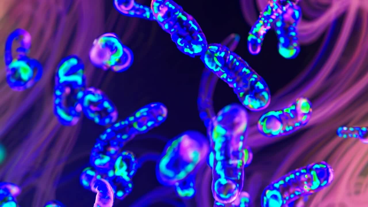 Abstract video of glowing, colorful microorganisms in close-up view, with a dynamic