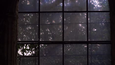 rain-drenched window overlooking lush greenery at old mellifont abbey, ireland, shot with a vintage lens